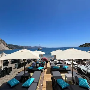 book here